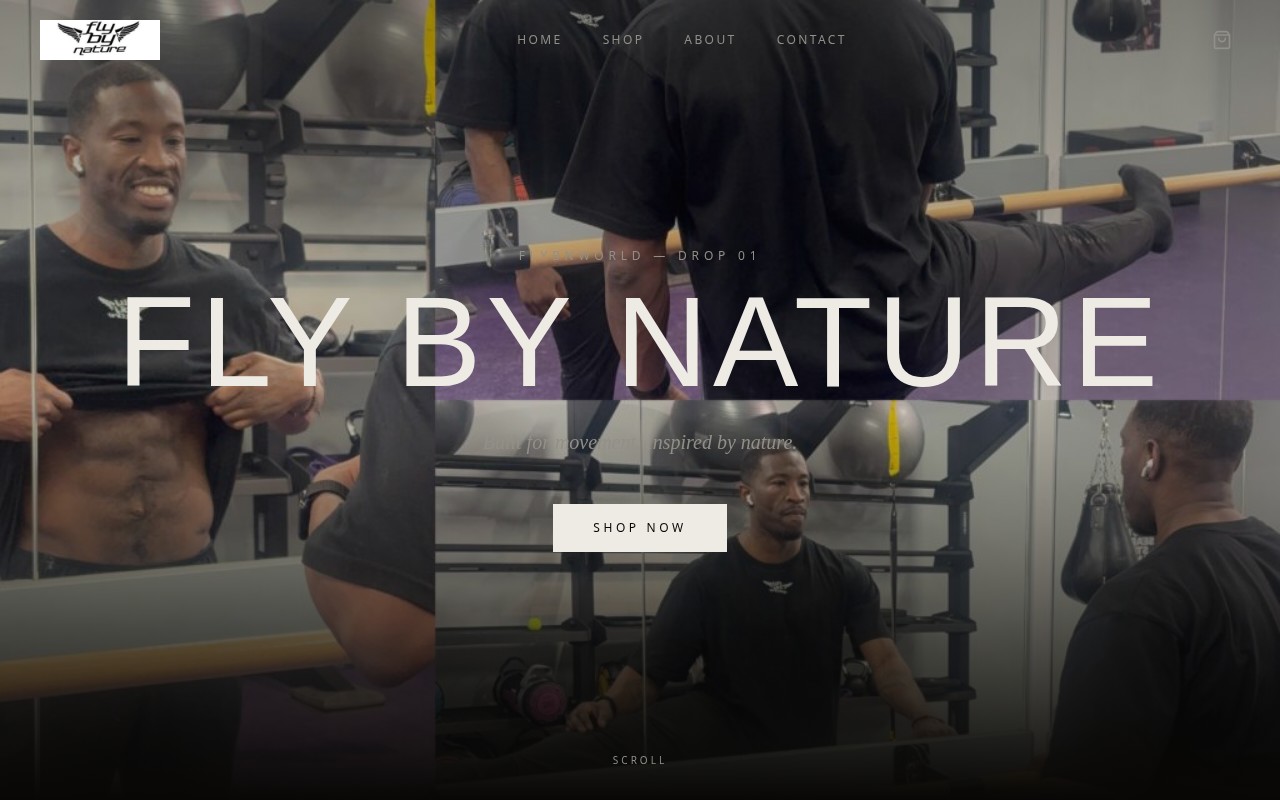 Fly By Nature website homepage